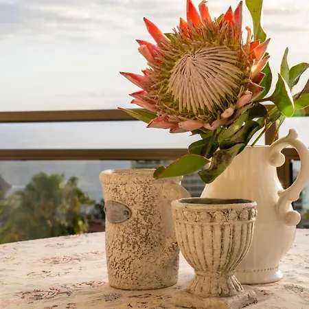 Cozy 2 Bedroom With Ocean View And Heated Swimming Pool *